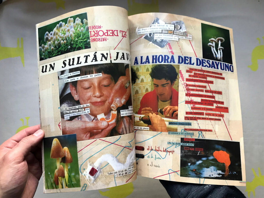 El álbum de tus flores bordadas, de Rubén el Rulas. Diseño gráfico editorial