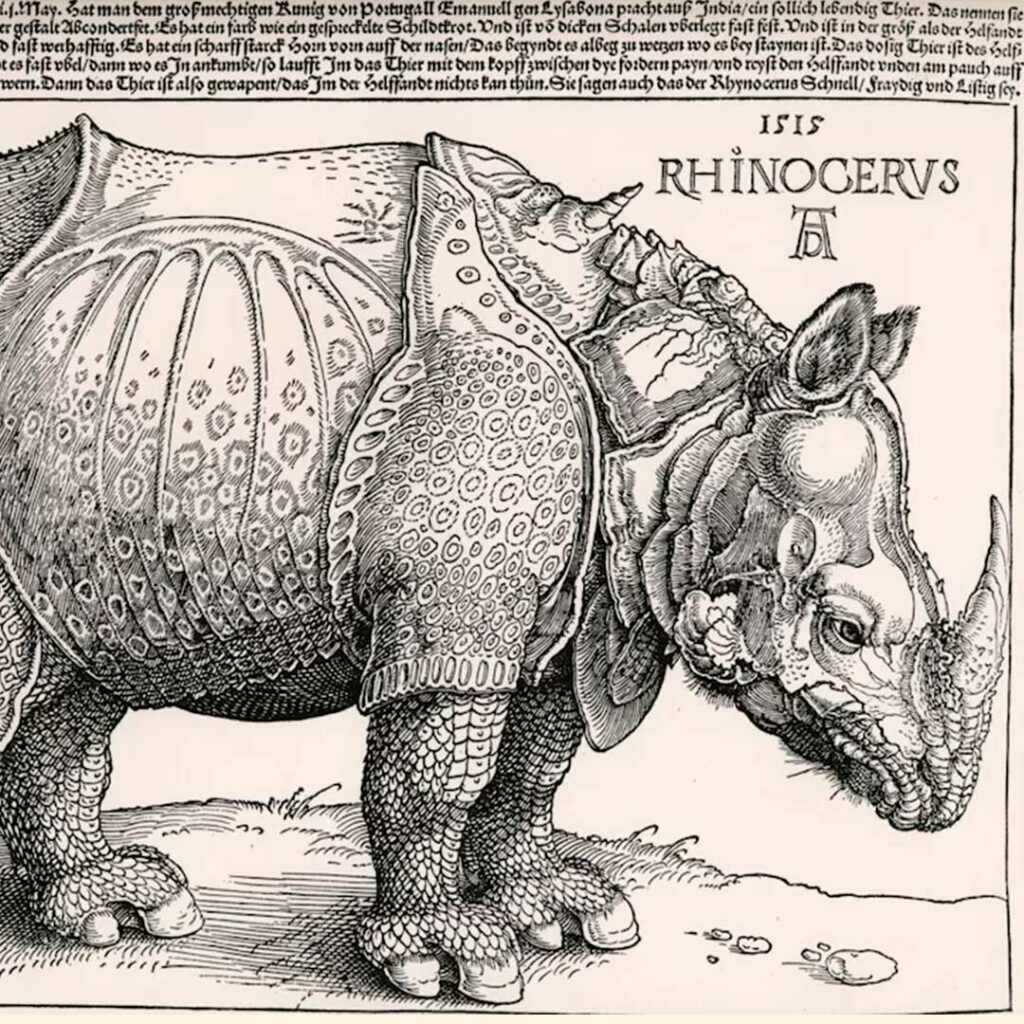 Alberto Durero Rhinoceron 1515 Grabado
