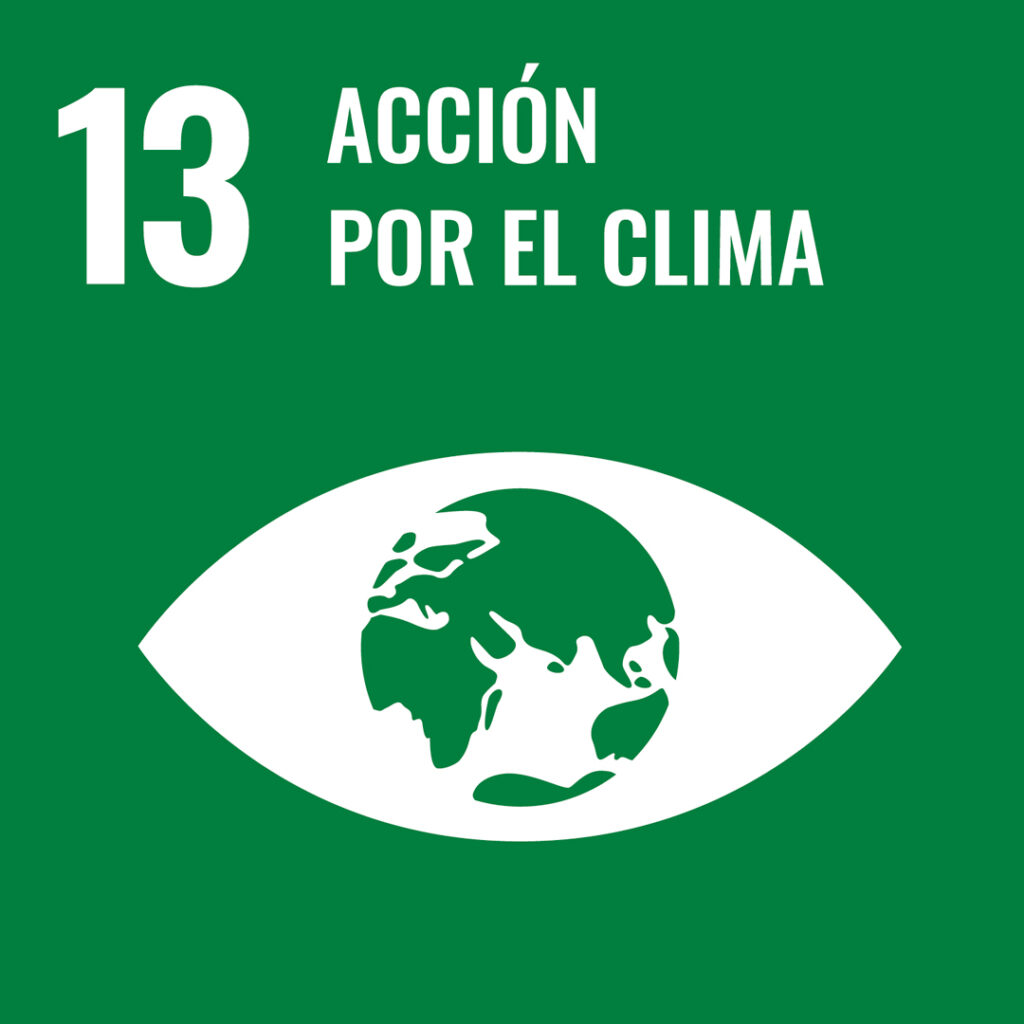 Objetivos de Desarrollo Sostenible, 13, Acción por el Clima, de la Agenda 2030